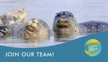 APPLY. 10-Week Paid Summer Student Assistant Internship for Undergraduate College Students with the California Ocean Protection Council under Supervision of OPC Deputy Director in Sacramento