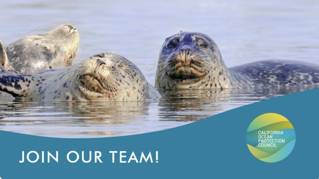 APPLY. 10-Week Paid Summer Student Assistant Internship for Undergraduate College Students with the California Ocean Protection Council under Supervision of OPC Deputy Director in Sacramento