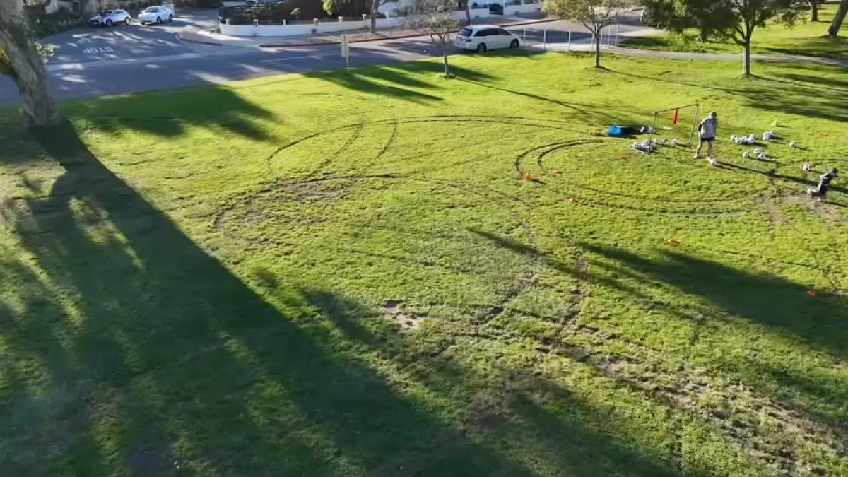 Police investigating vandalism at Kate Sessions Park – NBC 7 San Diego