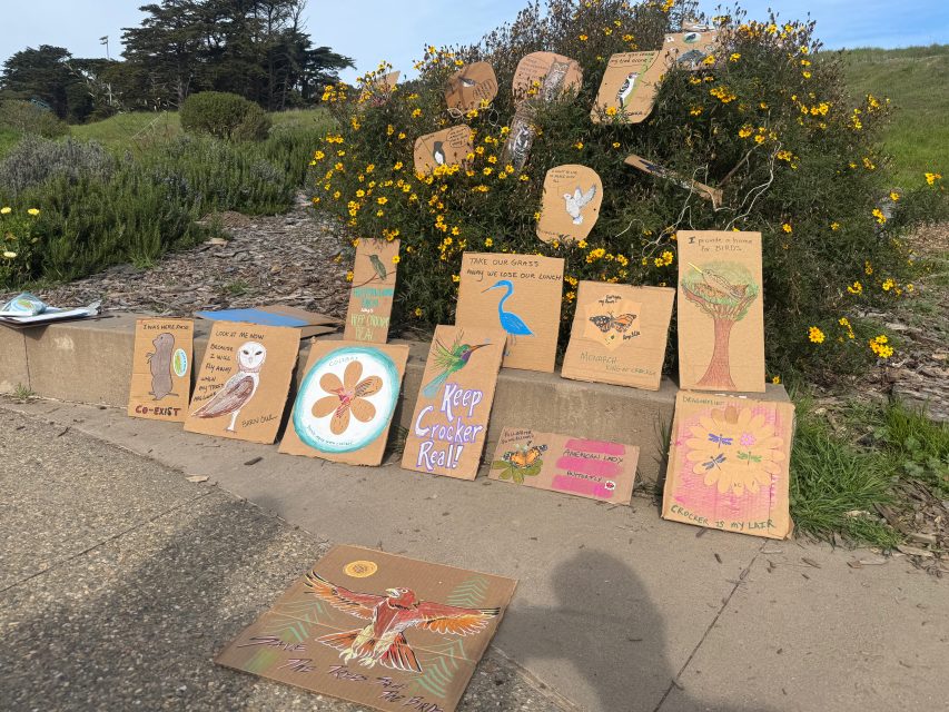 Handmade cardboard signs with drawings and messages about birds and nature are displayed outdoors on a low concrete wall next to bushes with yellow flowers.