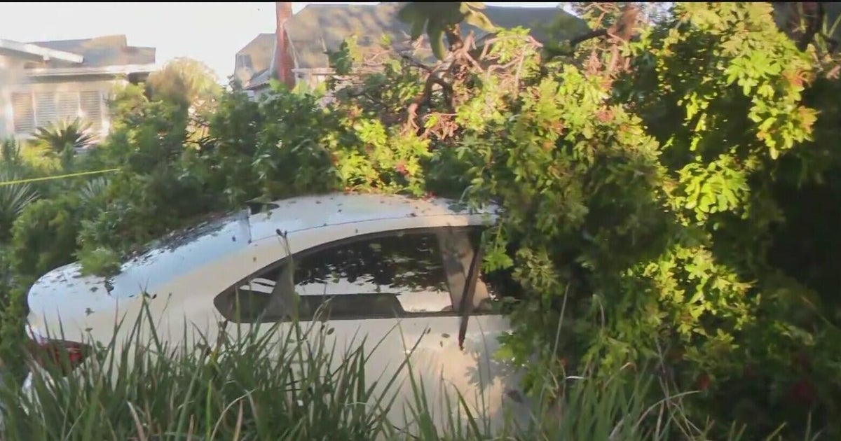 Series of powerful rainstorms in Southern California causes downed trees, power outages