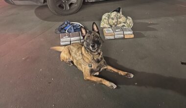 K9 Happens to Find $2 Million Worth of Cocaine During Routine Milpitas Speeding Stop