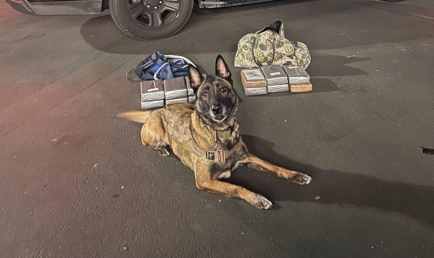 K9 Happens to Find $2 Million Worth of Cocaine During Routine Milpitas Speeding Stop