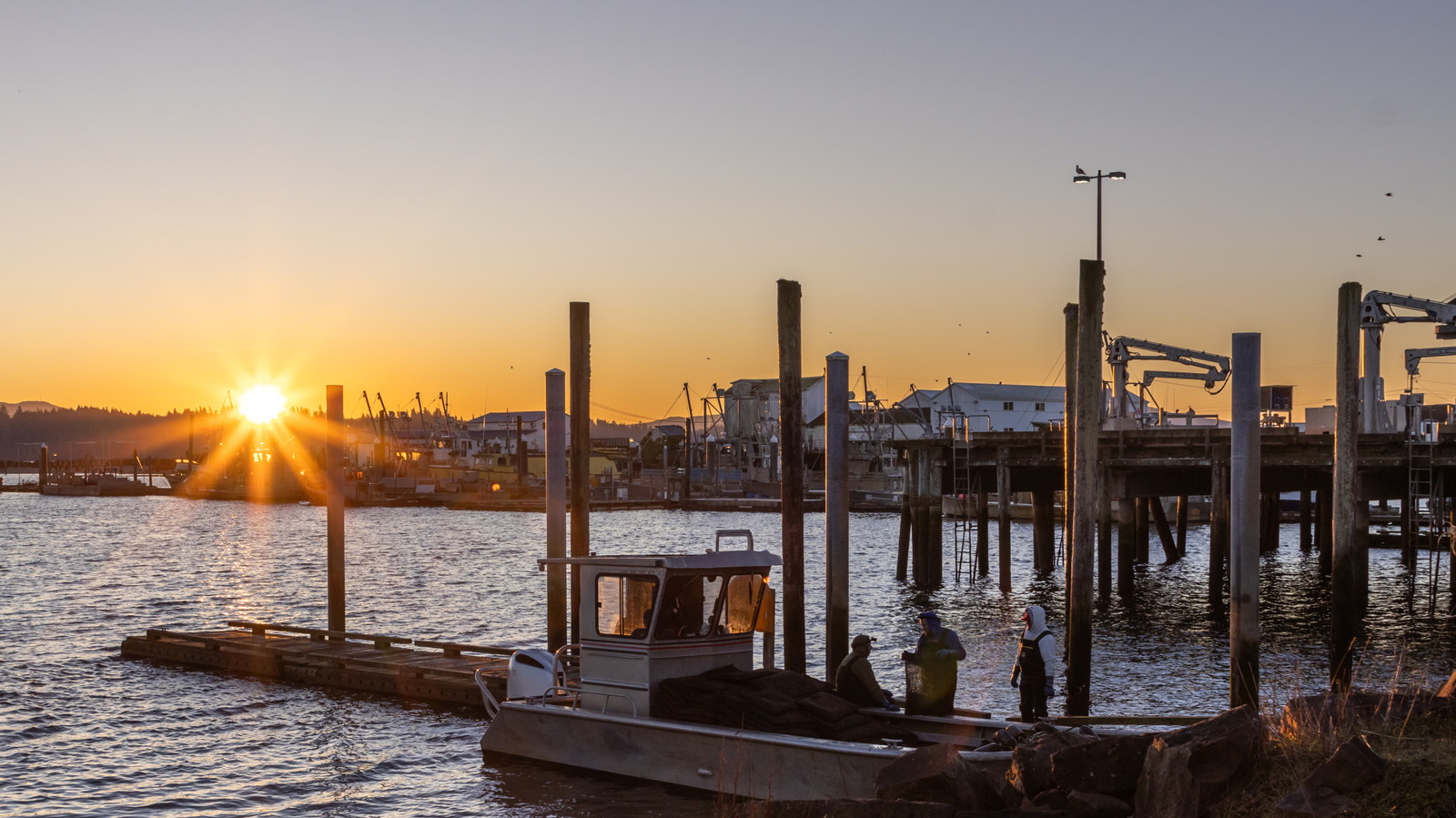 Washington's Peaceful Coastal Getaway Is Nestled Between Verdant Forests And Gorgeous Beaches