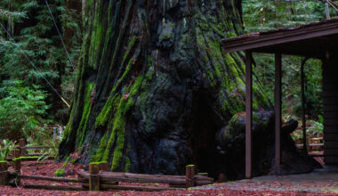 Hidden In The Northern California Redwood Forests Is A State Park With Camping, Hiking, And Fishing