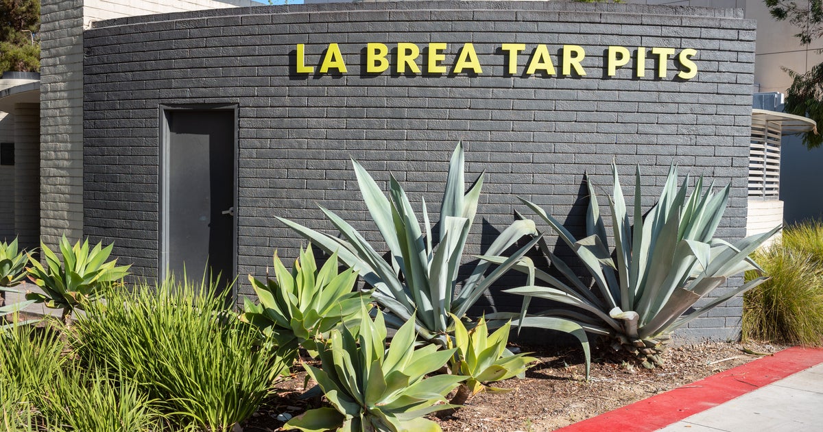 31 Southern California museums hosting free admission day event