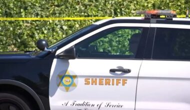 Man accused of attacking roommate’s paralyzed dog in West Hollywood – NBC Los Angeles