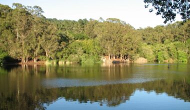 Body of Missing UC Berkeley Graduate Student Found In Lake Anza