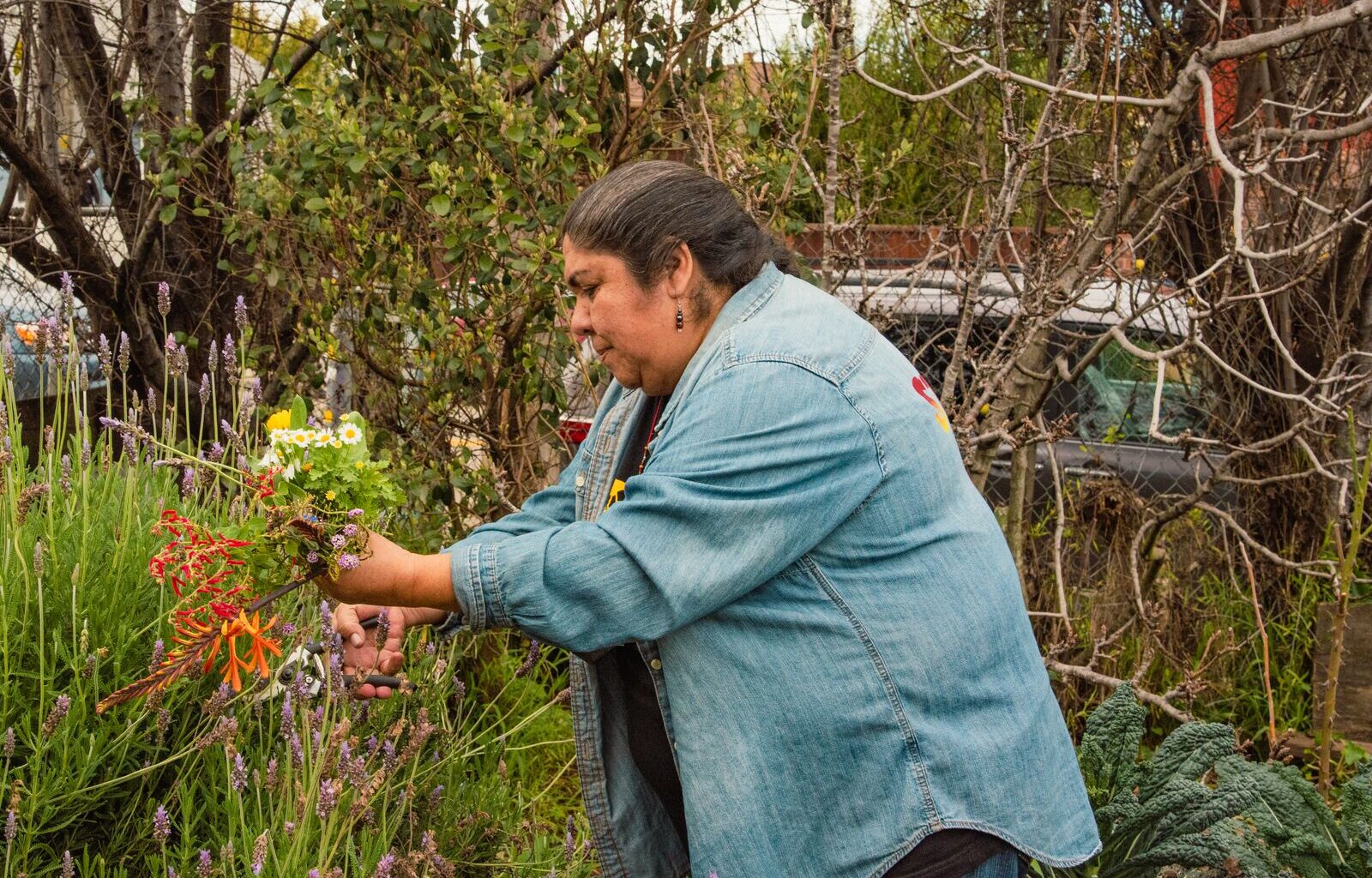 How an Indigenous land trust became a fundraising powerhouse