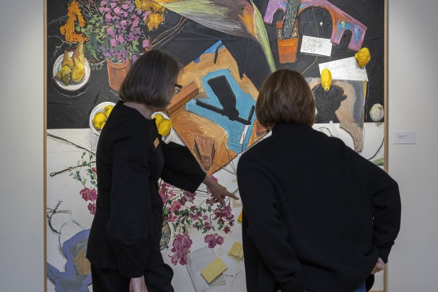 "Growing Together" aims to have different cultural institutions in La Jolla collaborate to increase their audiences. (Pablo Mason)