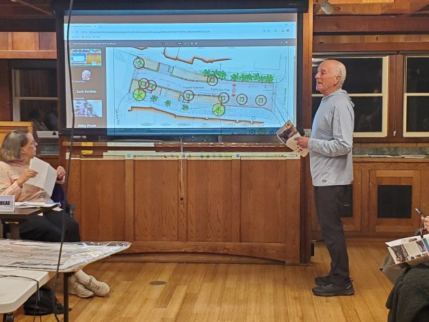 La Jollan Phil Wise presents a landscaping plan for Promenade de la Playa to the La Jolla Shores Association on Nov. 12. (Ashley Mackin-Solomon)
