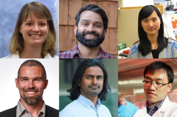 Sanford Burnham Prebys' newer scientists include (top from left) Kelly Kersten, Sanjeev Ranade and Shengjie Feng, and (bottom from left) Kevin Tharp, Sanju Sinha and Xiao Tian. (File)