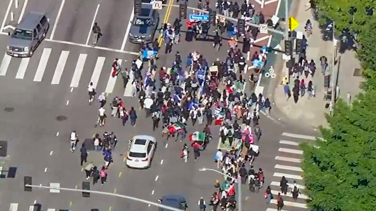 Aerial view of people walking in the street and holding flags