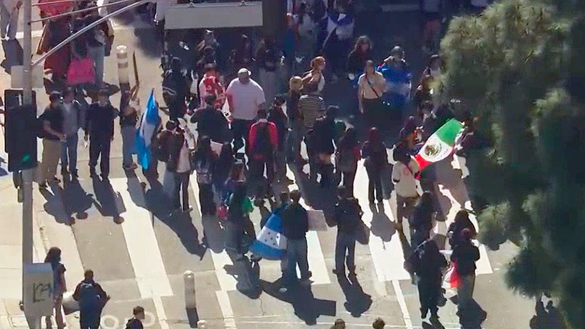 Aerial view of people holding flags during a protest