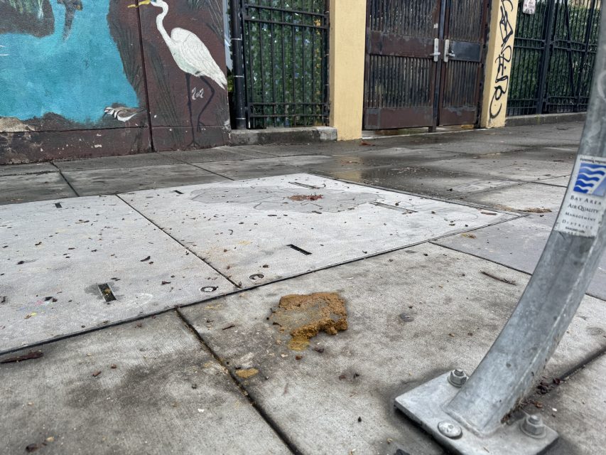 A chunk of brown debris sits on a city sidewalk near a metal post; behind it, a mural with a white bird and fence stretches along Marshall Street.