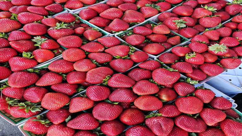 Baskets of ripe, red strawberries at a California farmers' market.