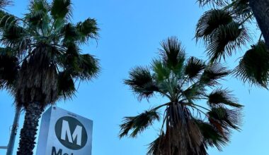 Man Killed In Fall While Getting Off LA Metro Train