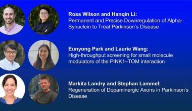 headshots of the awardees