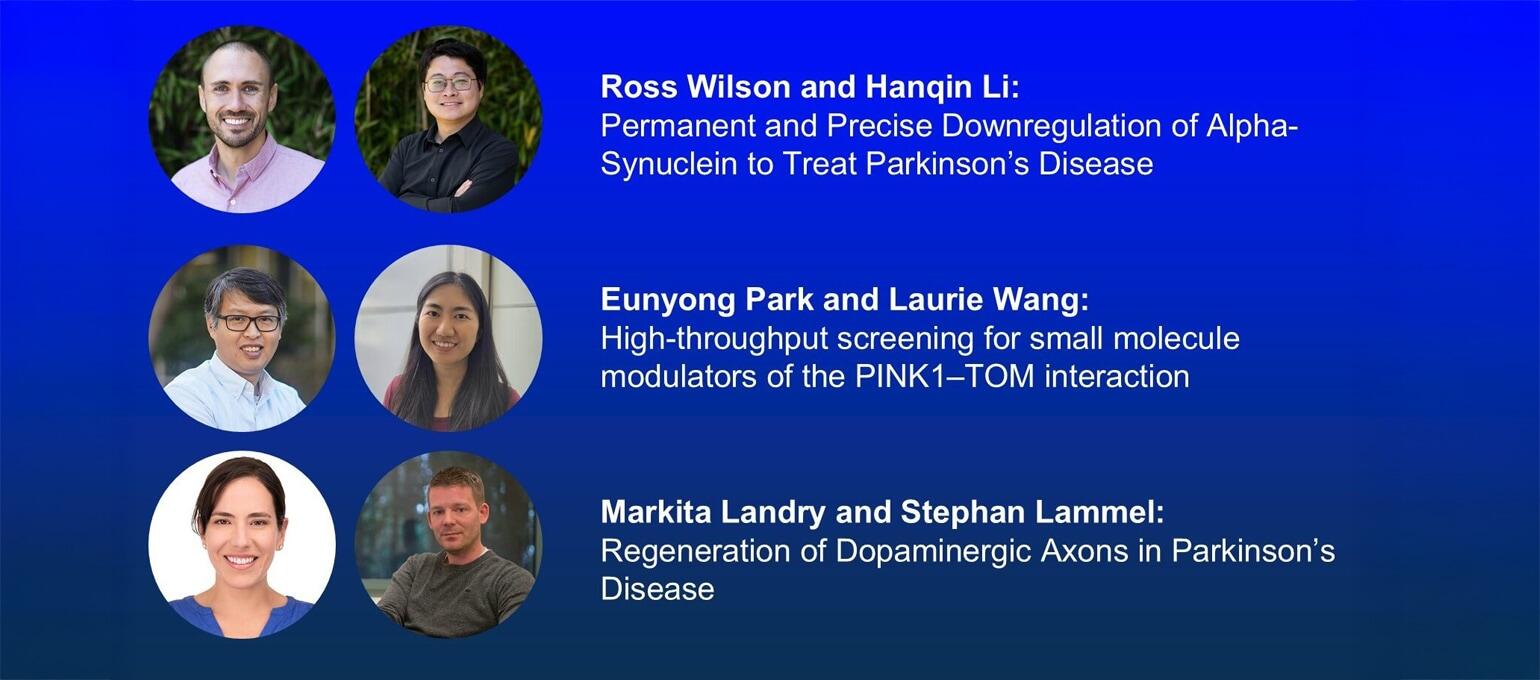 headshots of the awardees