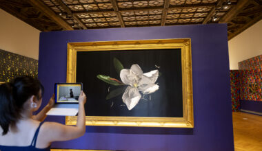 A young woman in the left corner of the frame stands in a museum gallery with her back to the camera, holding a tablet horizontally in front of her. She is wearing a dark tank-top and her black, straight hair are pulled in a pony tail. In front of the woman is a bright purple wall, built in the middle of the gallery space, with a painting of a white flower with a few green leaves on a dark background, in a golden frame. The gallery space has yellow wooden floor and dark wood carved tray ceiling. Large colorful artworks hang on the left and right walls of the space.