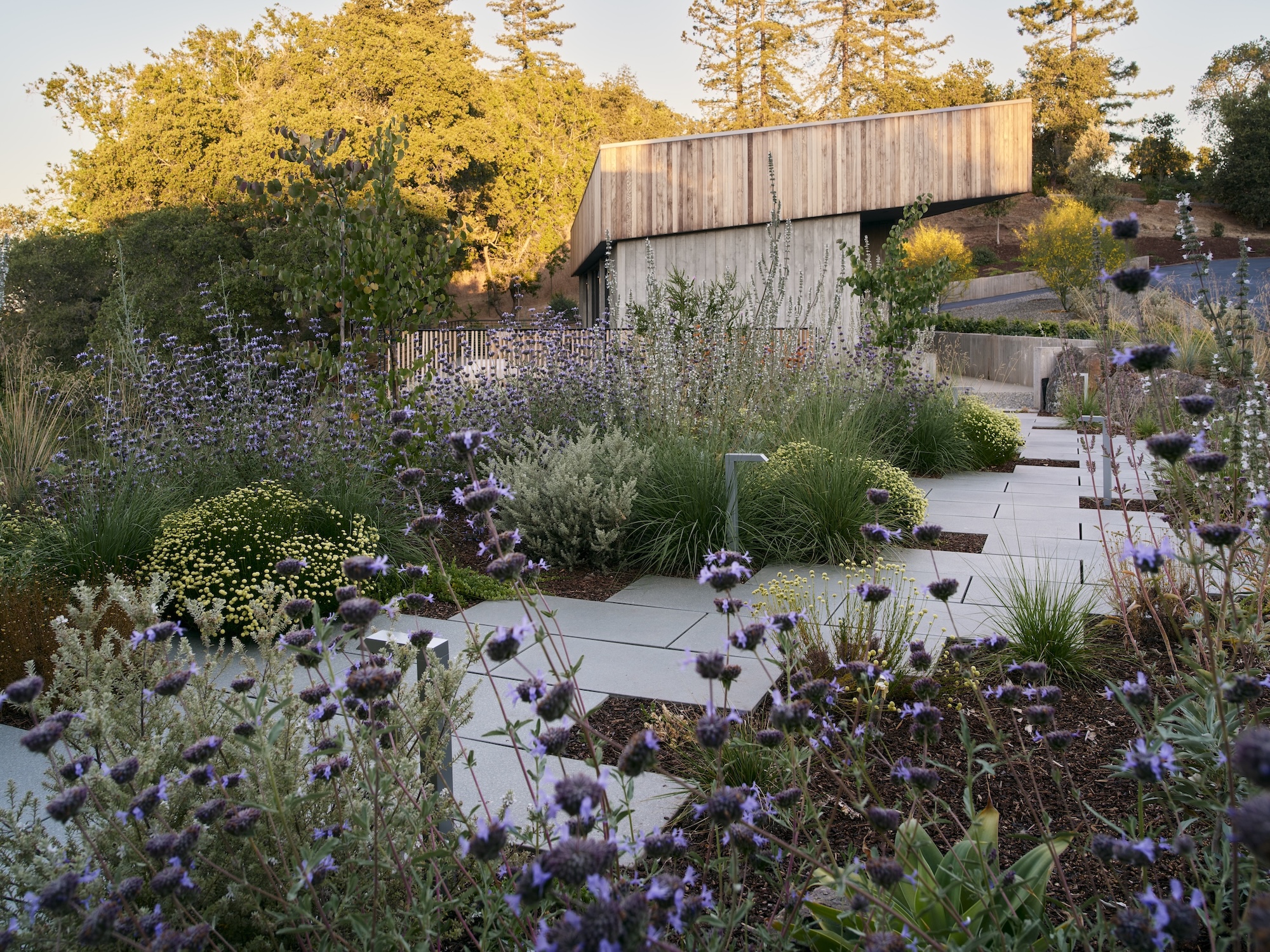 SAW portola valley house california