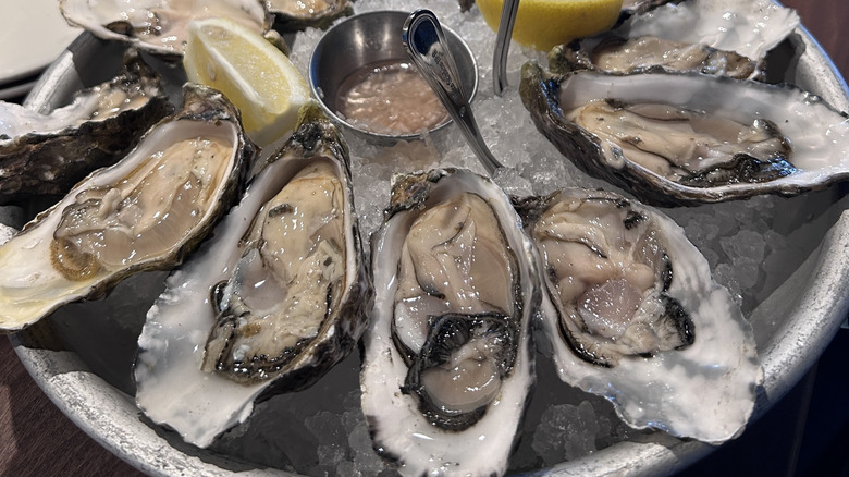 Raw Pacific Oysters from Tomales Bay