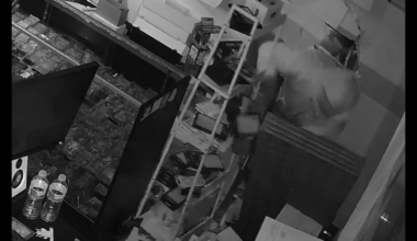 Anaheim Pokémon card shop ransacked by burglars – NBC Los Angeles