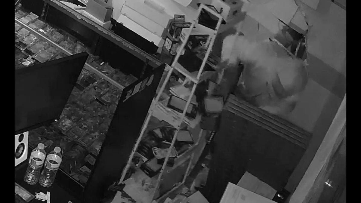 Anaheim Pokémon card shop ransacked by burglars – NBC Los Angeles