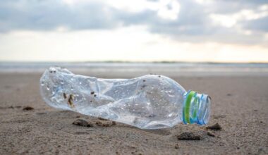 Students take stop sewage message to Sacramento