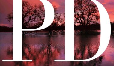 Oakland woman ordered to stand trial on murder charge, but remains free