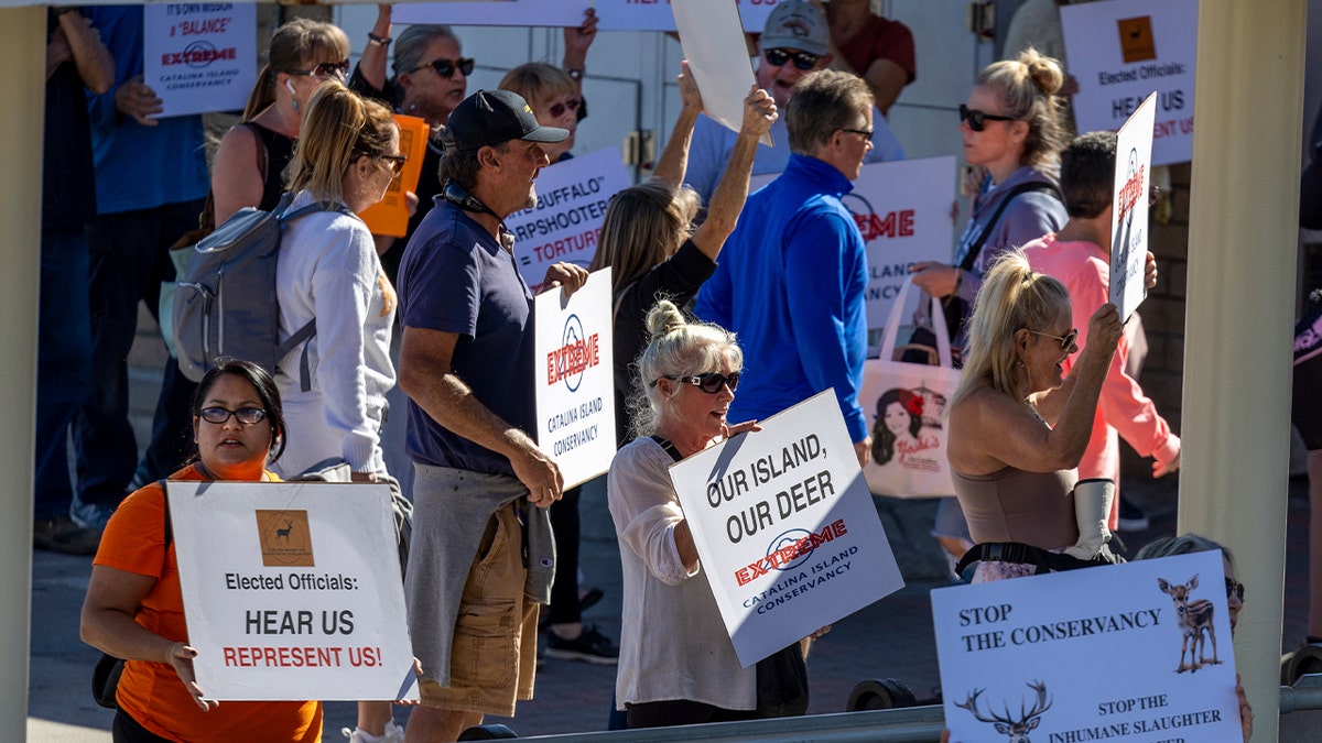 Protesters hold signs opposing Catalina Island deer management during a public demonstration