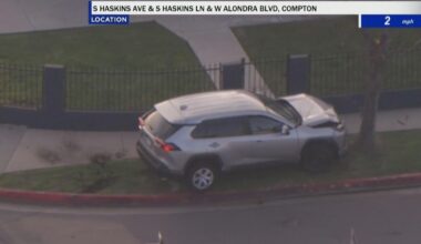 Carjacking suspect crashing into tree during LAPD pursuit in Compton