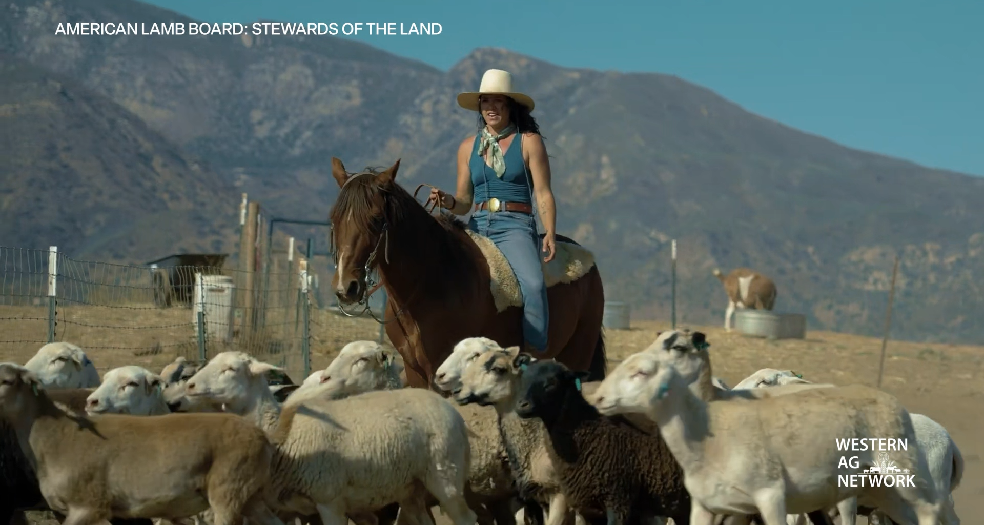 California Shepherdess Champions Regenerative Agriculture and Prescribed Grazing