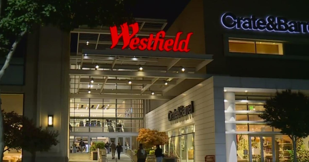 Brothers arrested in January robbery at Roseville Galleria, police say