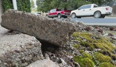 Roseville residents say city neglects maintenance in older neighborhoods