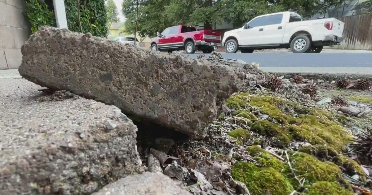 Roseville residents say city neglects maintenance in older neighborhoods