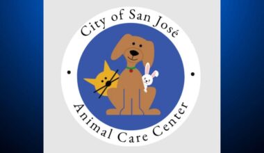 San Jose animal shelter warns of fake AI photo claiming dog was to be euthanized