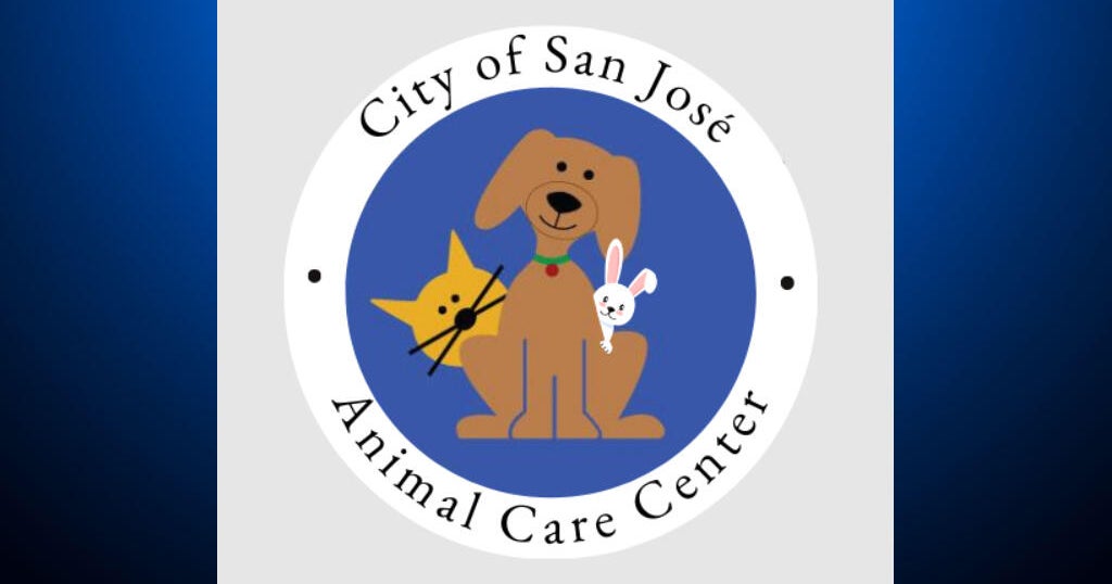 San Jose animal shelter warns of fake AI photo claiming dog was to be euthanized
