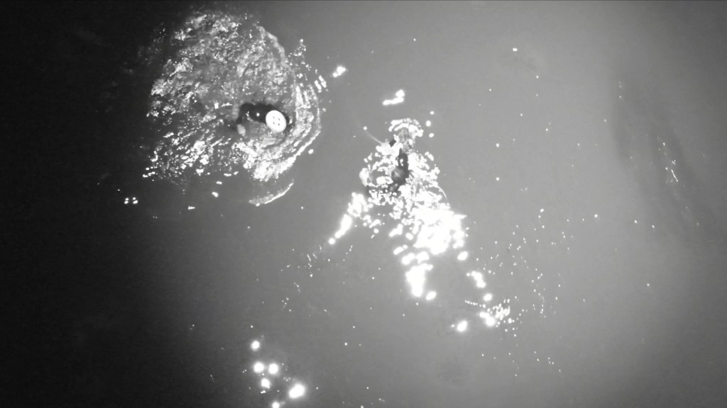 A thermal image of a surfer being rescued from the water at night by a swimmer.