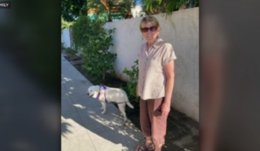 U.S. Marshals arrest man for Long Beach hit-and-run crash that killed 78-year-old woman