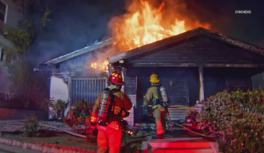 Second woman dies after Hollywood arson fire