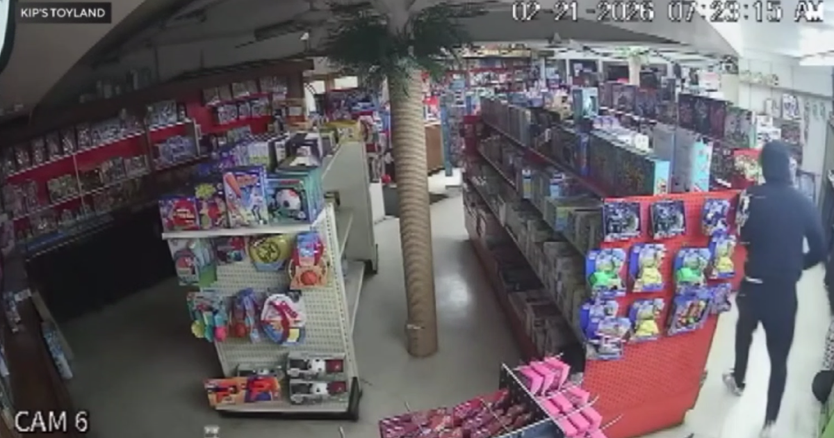 Kip's Toyland, Los Angeles' oldest toy store, targeted in early morning Lego burglary