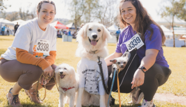 6 San Diego Charity Events to Attend in March