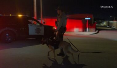 Suspect flees on foot following fatal hit-and-run crash in San Marcos – NBC 7 San Diego