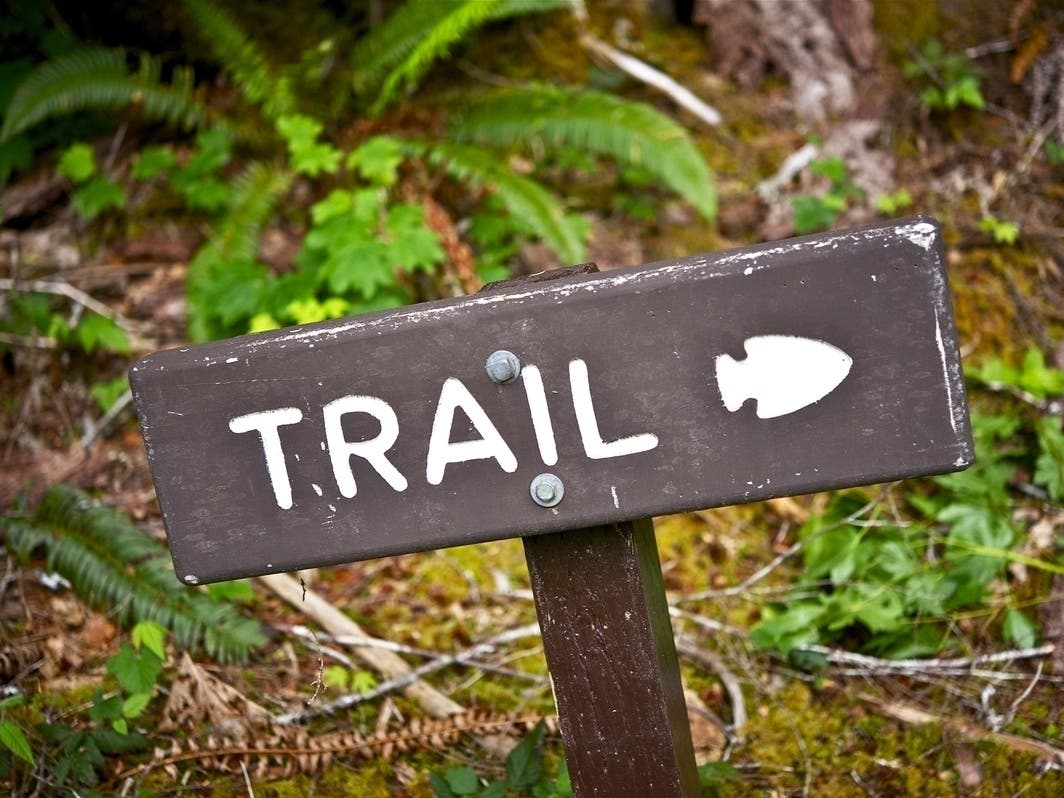 Springtime Hikes, Hands-On Fun For Kids In Orange County: OC Parks March Events