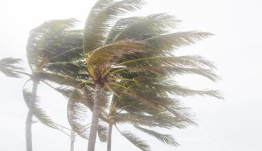 OC Walloped By Torrential Storm: See Local Rain and SoCal Snowfall Totals