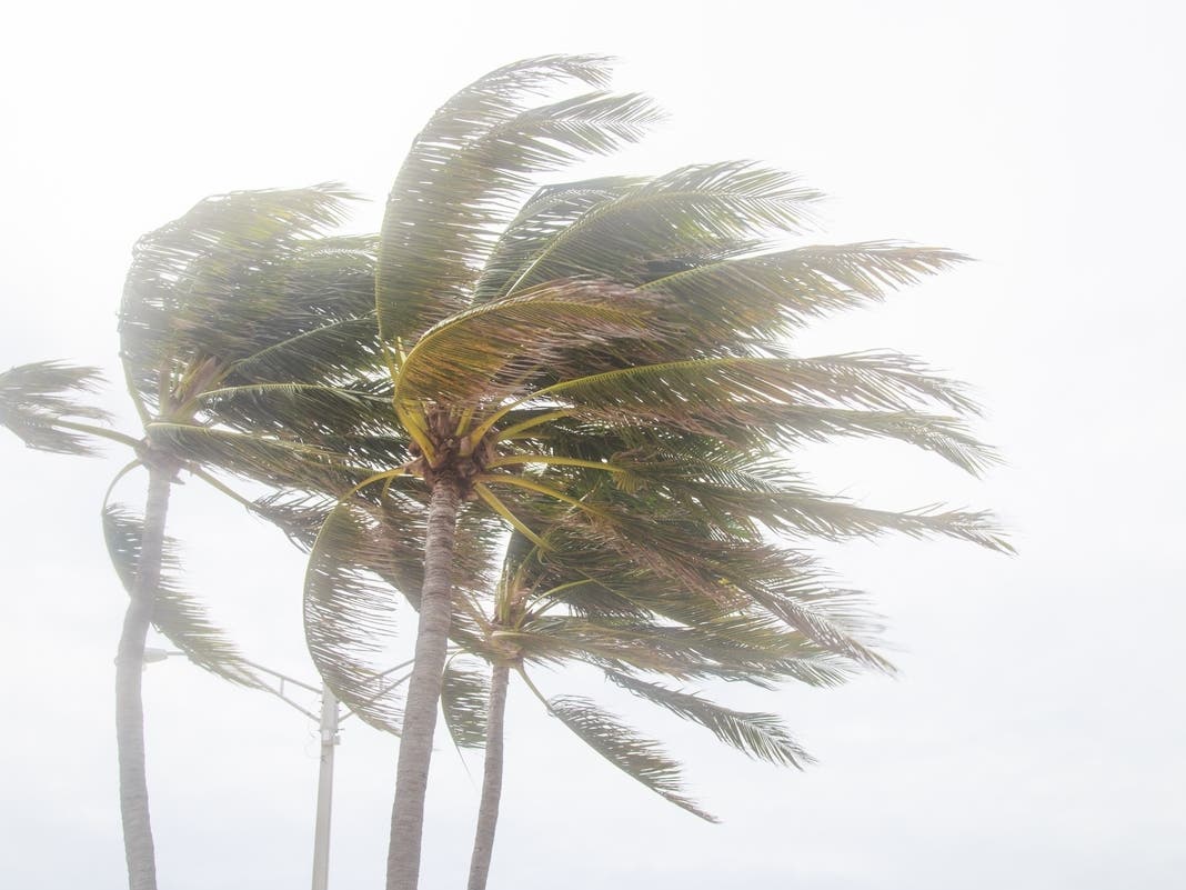 OC Walloped By Torrential Storm: See Local Rain and SoCal Snowfall Totals