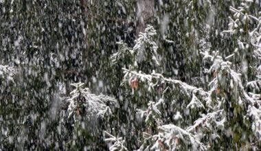 More Snow, Rain In Forecast As Atmospheric River Targets CA