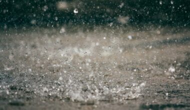 How Much Rain Did Seal Beach Get During Wednesday's Showers?