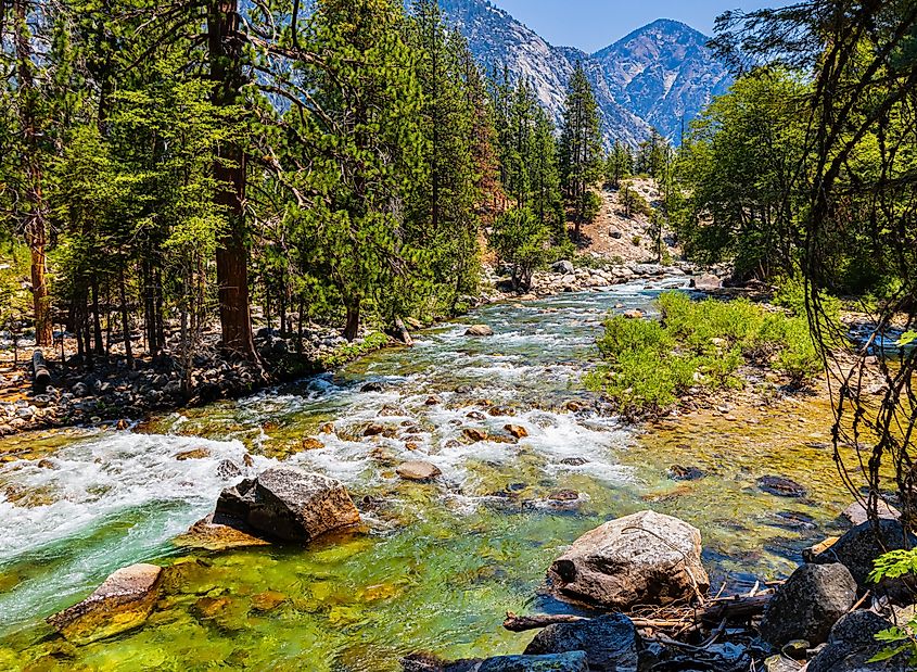 Kings River in Kings Canyon National Park.